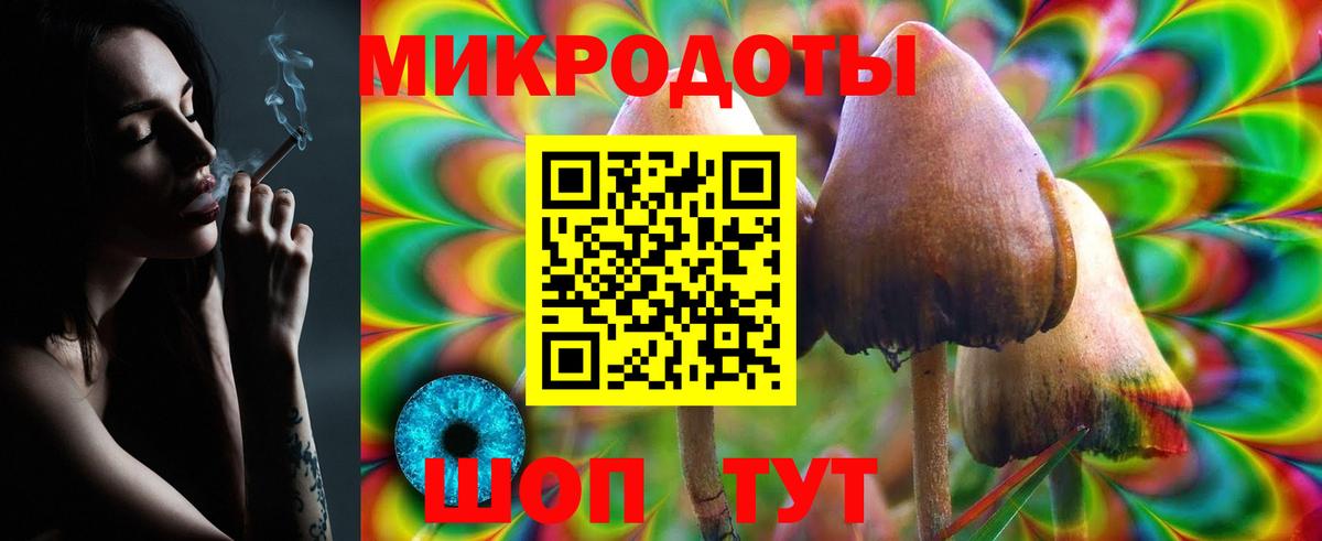Галлюциногенные грибы ЛСД Курчалой