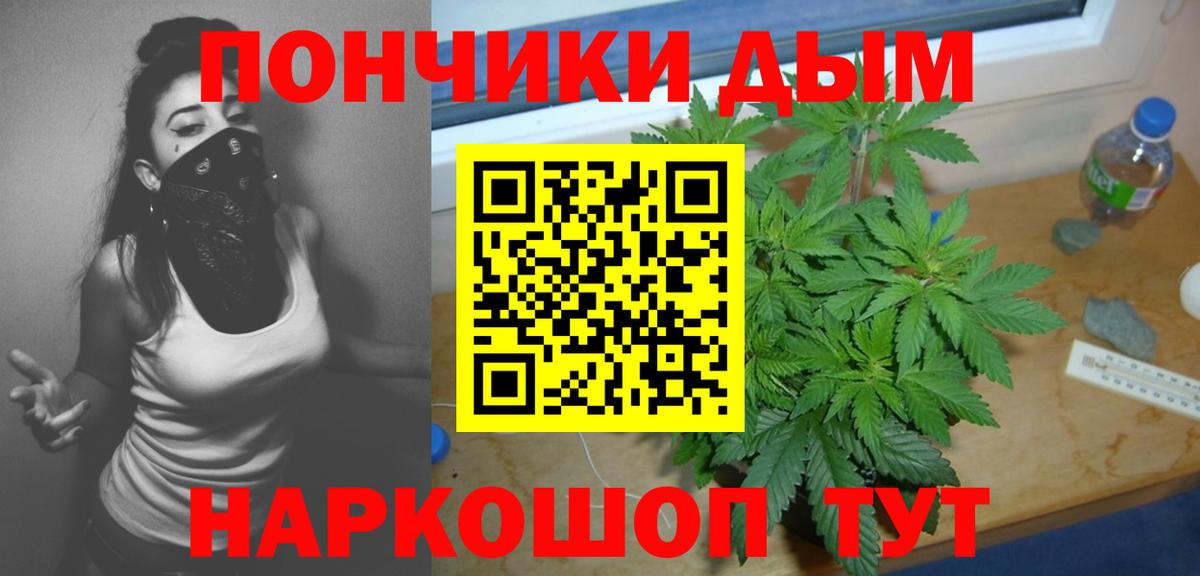 Каннабис индика Курчалой